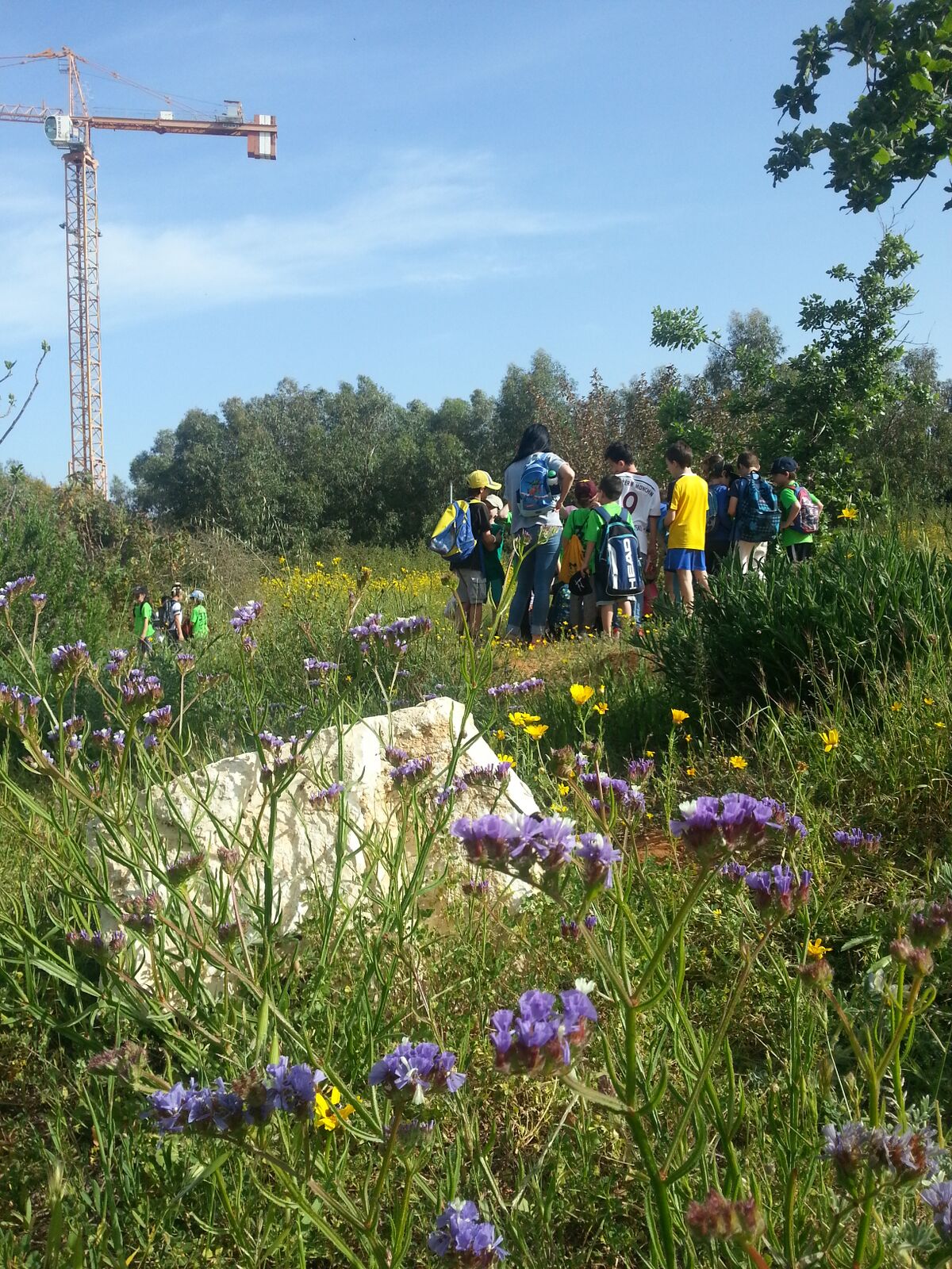 תמונת רקע לדף גילוי הטבע העירוני הסובב אותנו